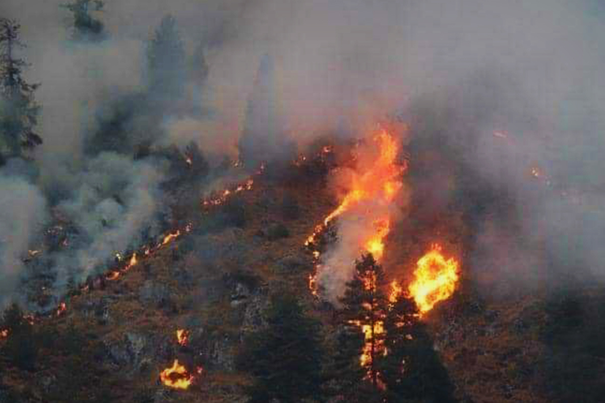 २०८१ सालमा विपद्: ८ हजार घटना, ७४५ जनाको मृत्यु