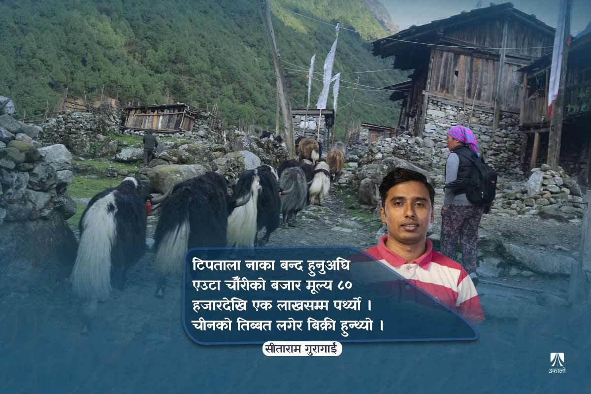 नजिकिँदैछ ओलाङचुङगाेला