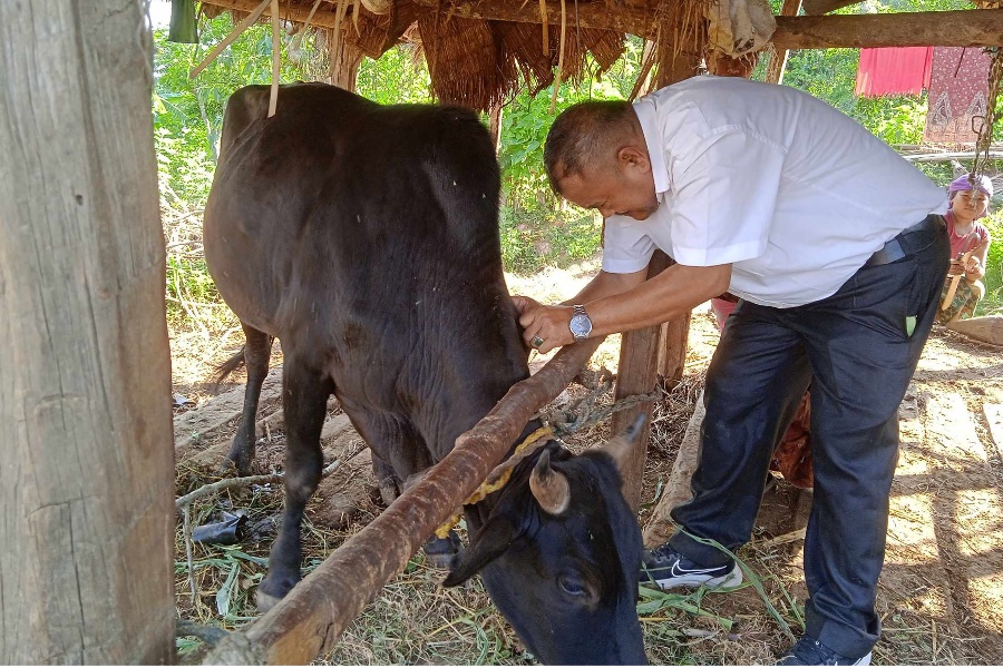 लम्पी स्किनलाई महामारी घोषणा गर्न माग