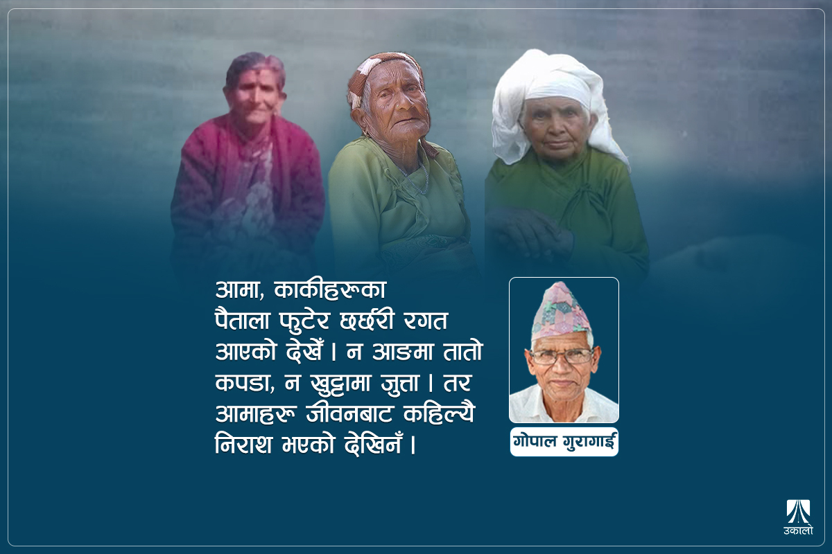 सामाजिक सद्‍भाव सहचारी हाम्रा आमाहरू