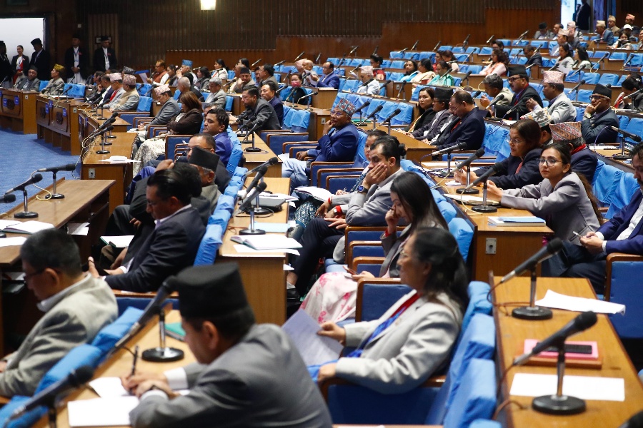 बजेटमा आर्थिक समस्या समाधानका ठोस योजना हुनुपर्नेमा सांसदको जोड