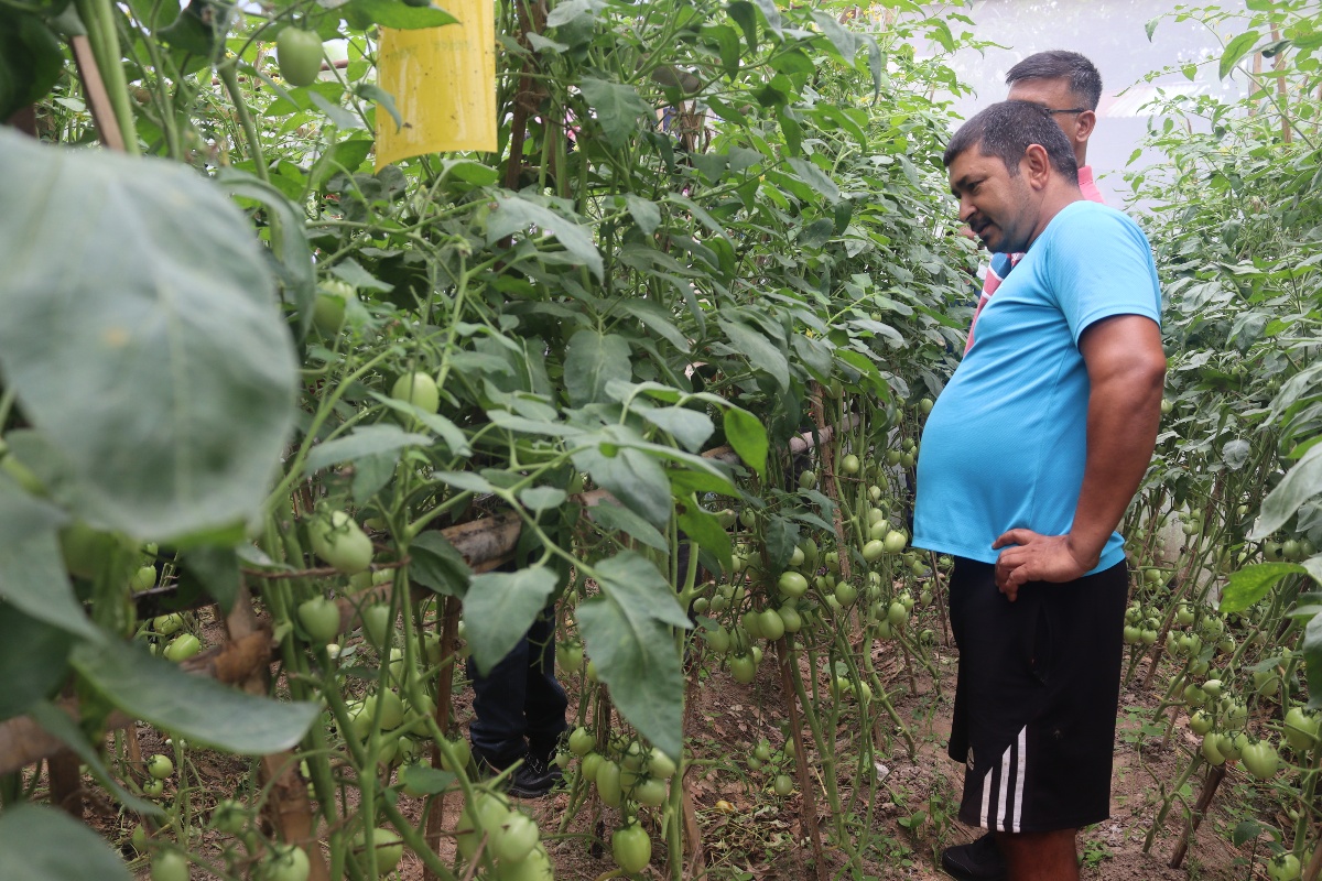 यूएईको रोजगारी छाडेर स्वदेशमा कृषिकर्ममा रमाएका सन्तोष