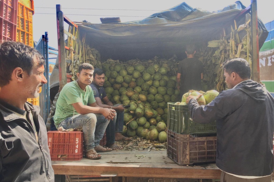 विदेशी फलफूलको प्रभाव बढ्दै