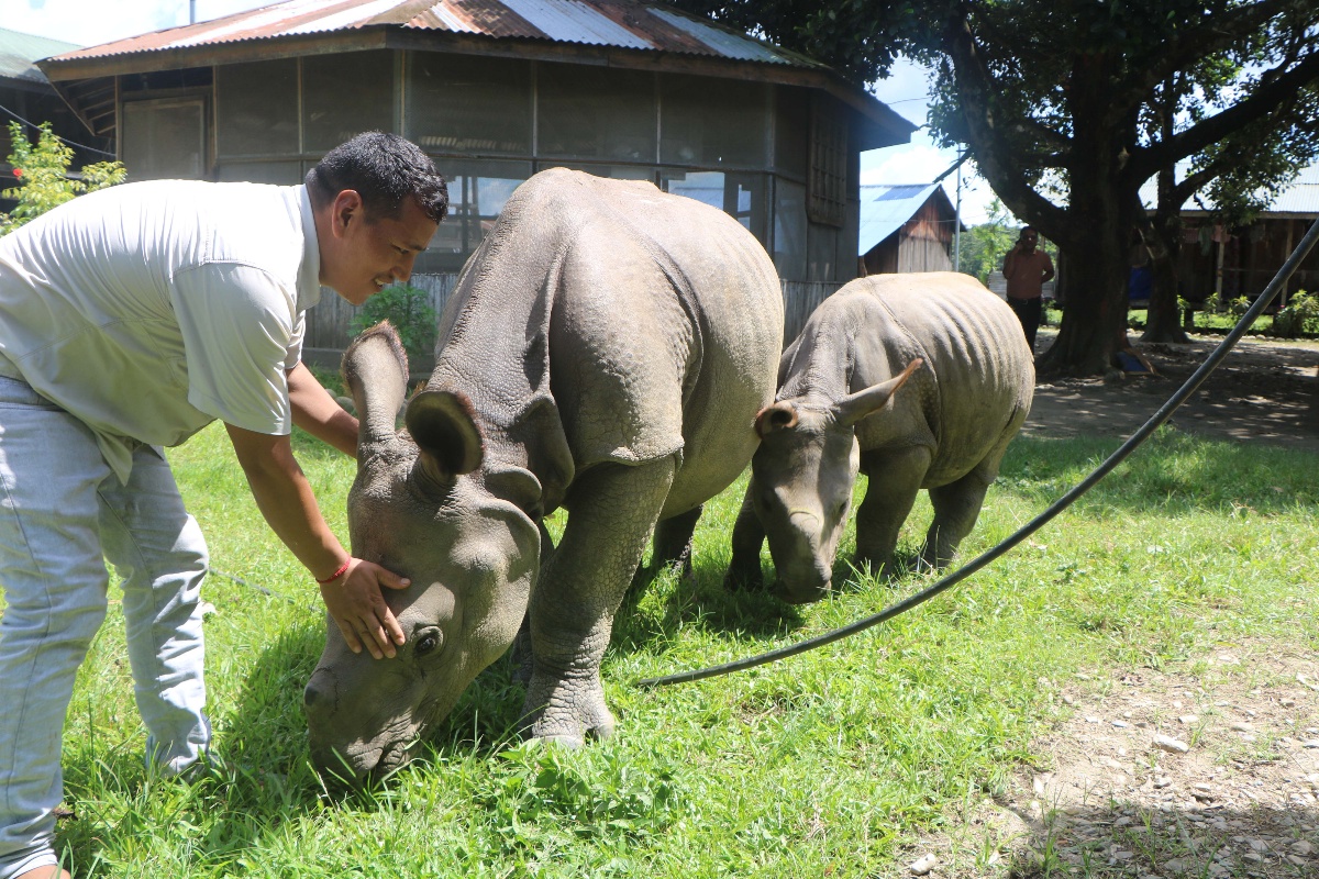सौराहामा हुर्किँदै छन् ‘राम’ र ‘देव’