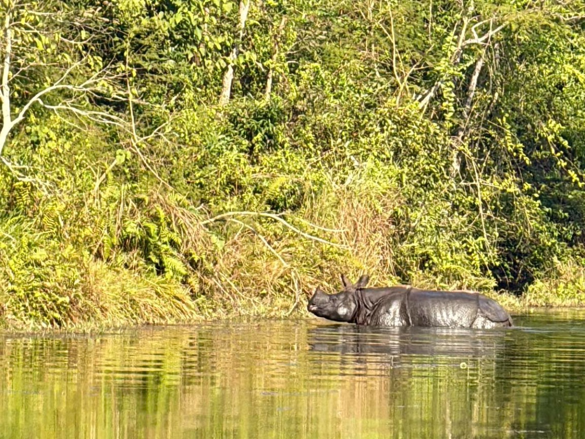 मानव–वन्यजन्तु द्वन्द्व रोक्न सामुदायिक वनमा पानीको प्रबन्ध