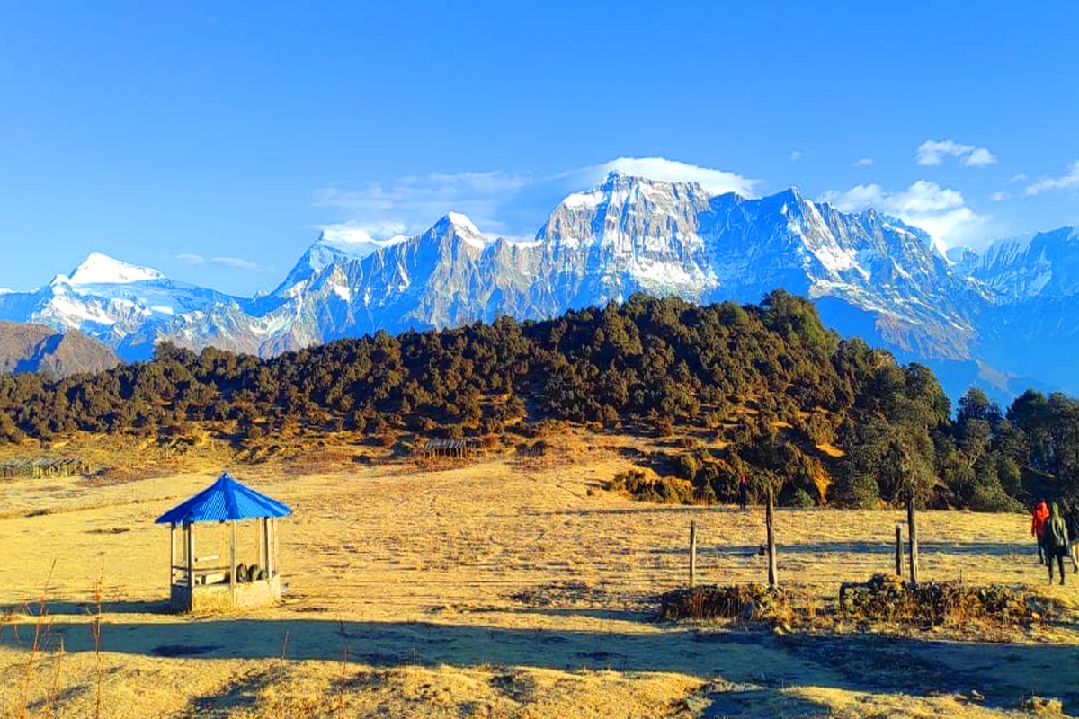 सडक नखुल्दा जलजला पुग्न पाएनन् पर्यटक