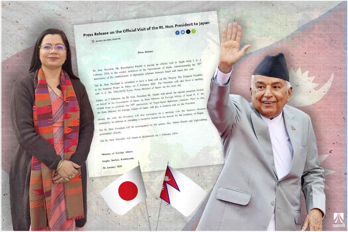 टोकियोमा ‘नेपो–बेबी रिभिजिटेड’