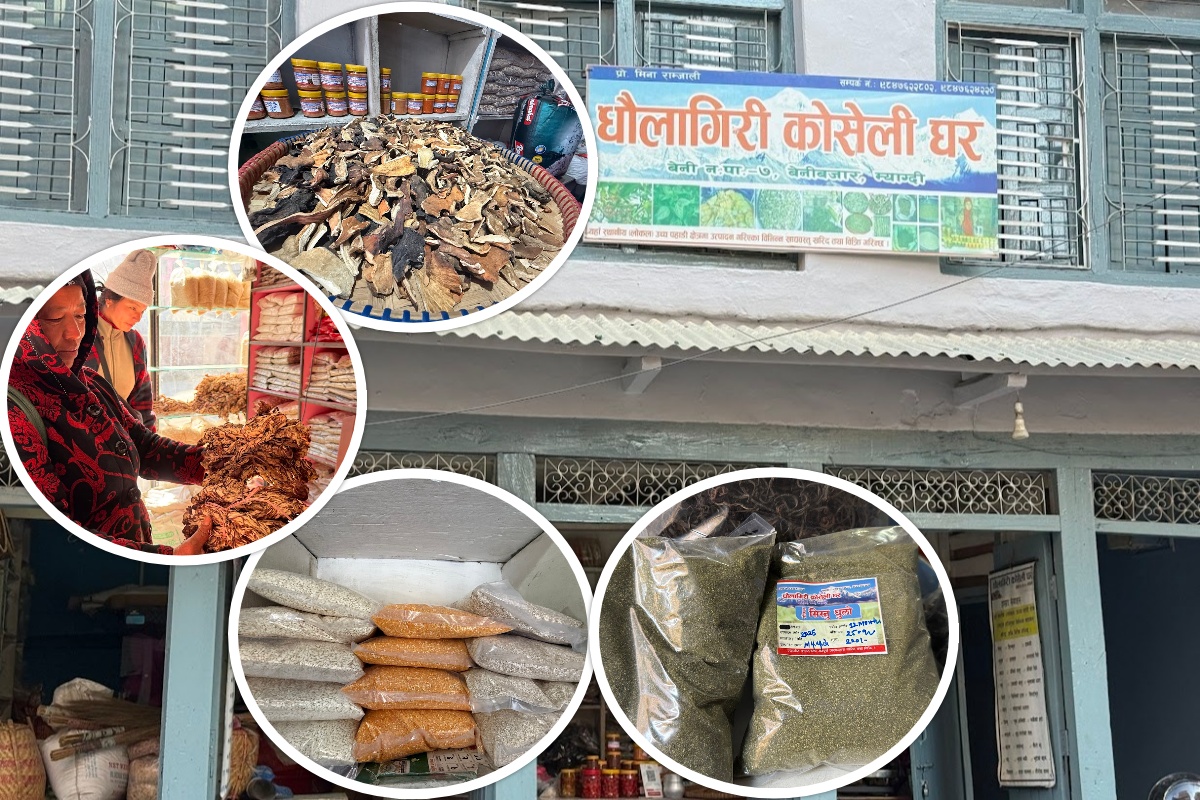 गाउँका पाखोबारीदेखि विदेशका सुपरमार्केट जोड्दै ‘कोसेलीघर’