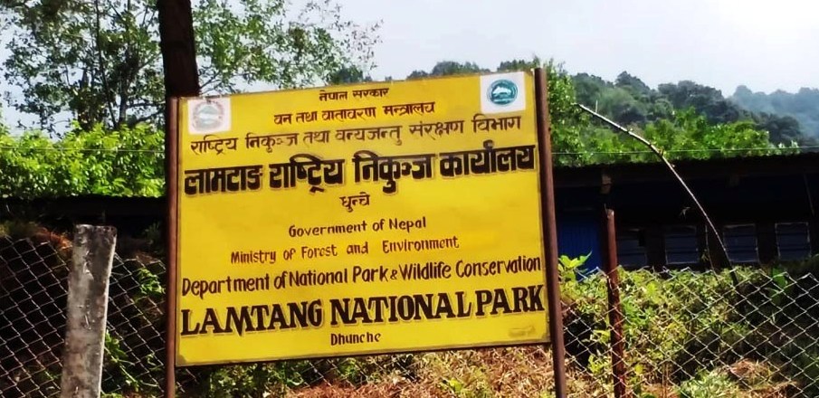 लाङटाङका वन्यजन्तुबाट प्रभावित किसानलाई राहत वितरण