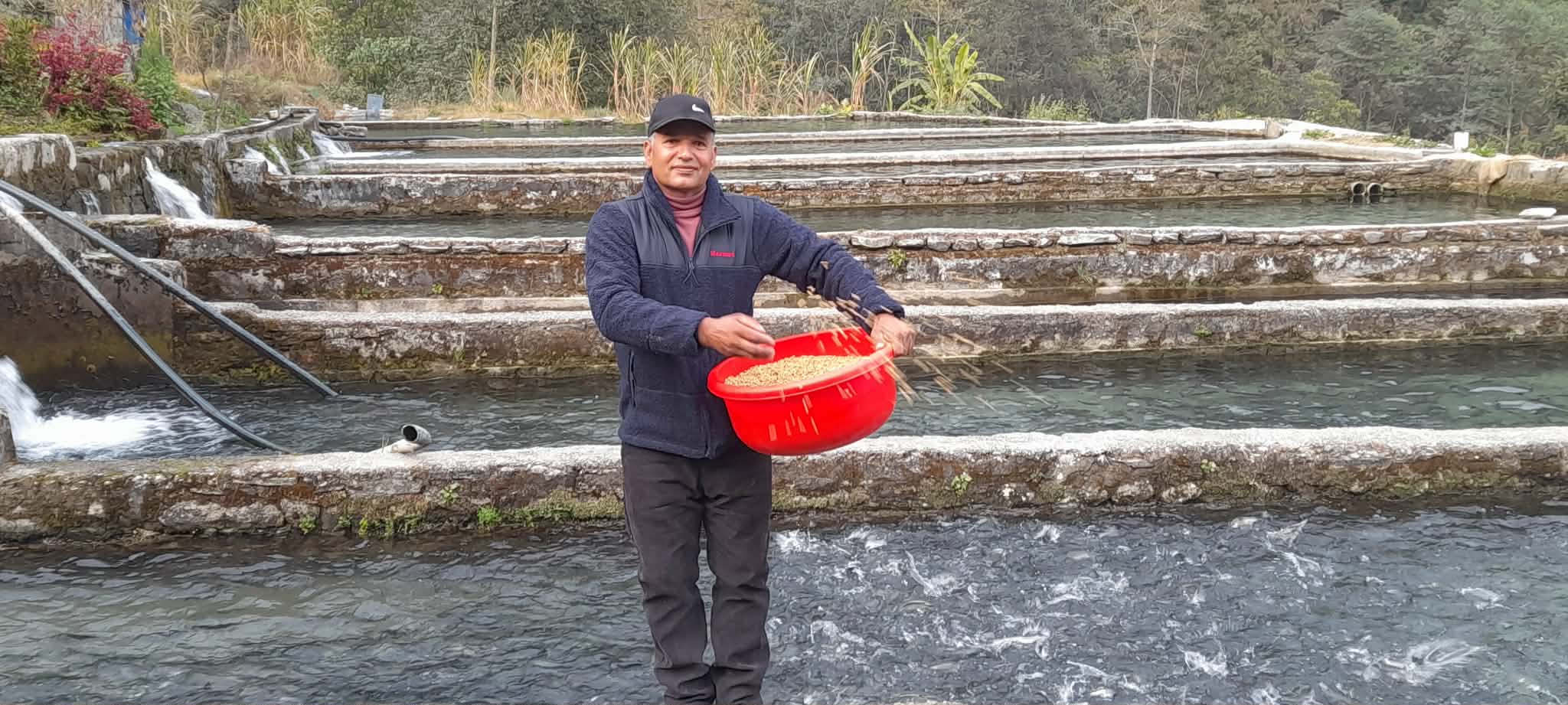 प्रहरी छाडेर वडाध्यक्ष बने, अहिले हाँकिरहेका छन् रेन्बो ट्राउट फार्म