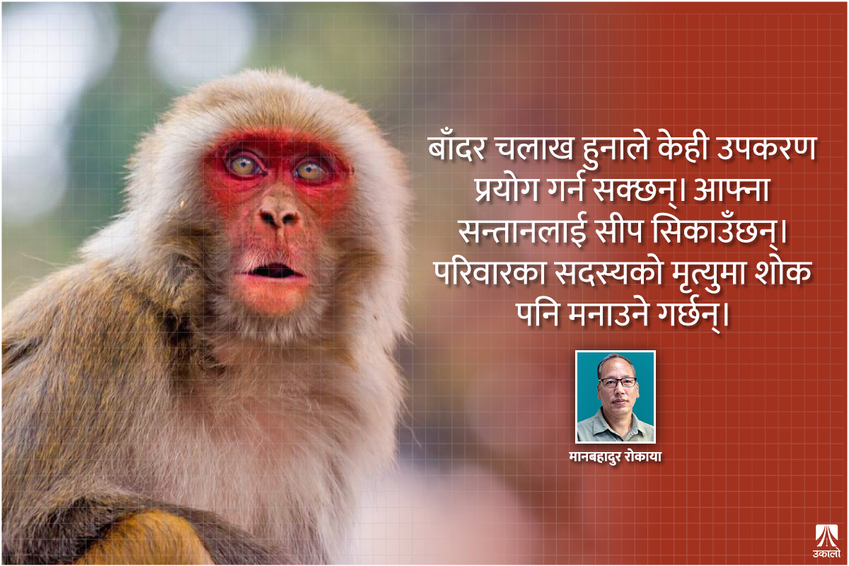 मानव–बाँदर द्वन्द्व कि सहअस्तित्व?