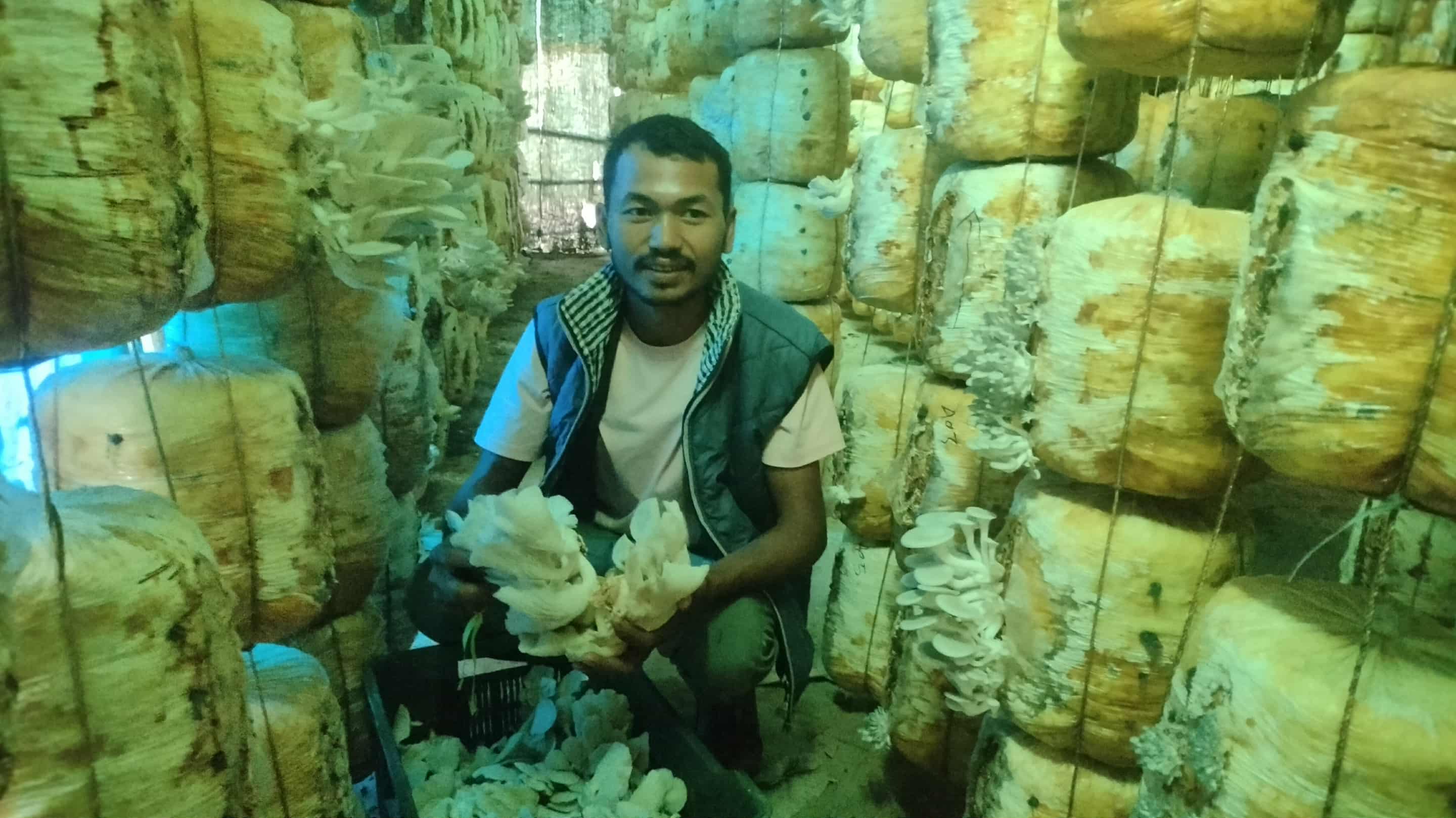 हाइटेक टनेलमा च्याउखेती गरेर वार्षिक १५ लाख आम्दानी गर्दै वीरबहादुर