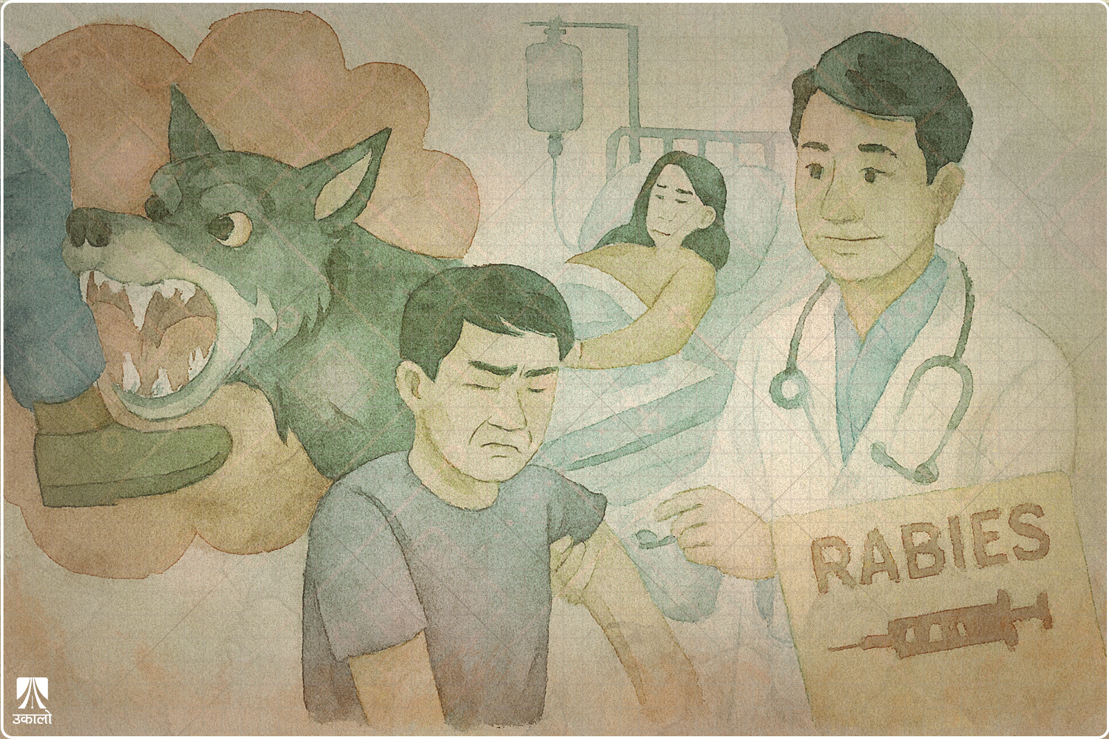 कुकुरले नटोकेरै पनि लाग्नसक्छ रेबिज, नेपालमा बर्सेनि १०० हाराहारीमा मृत्यु