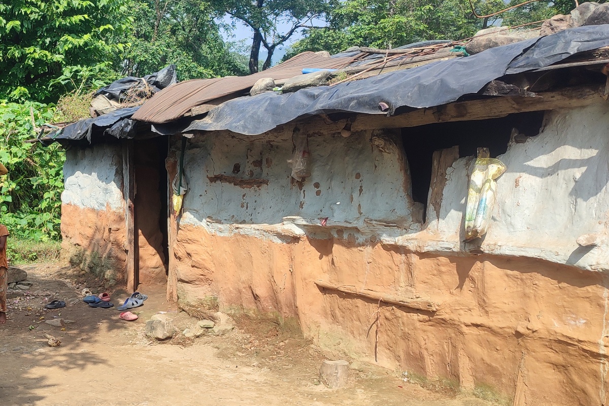 फेरियो लोपोन्मुख राउटेको जीवनशैली