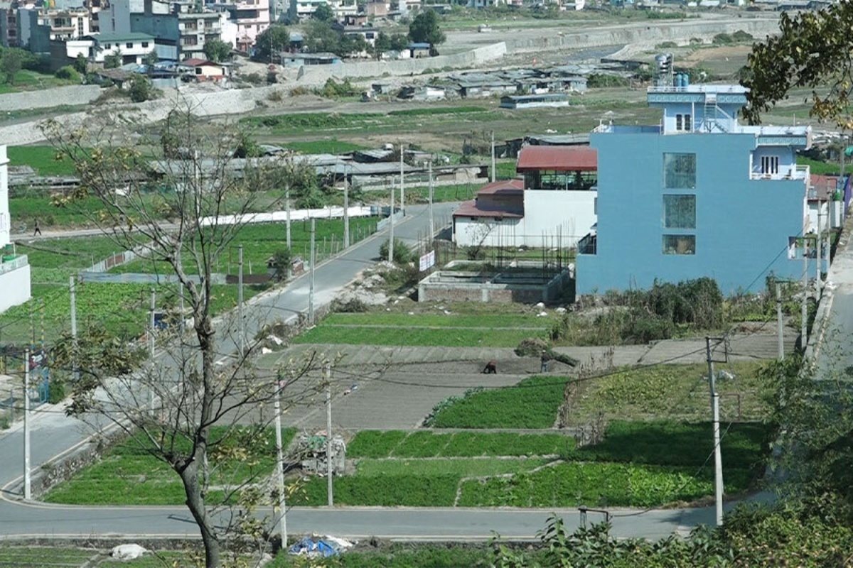घरजग्गा कारोबार ओरालो लाग्दै, राजस्व संकलनमा पनि ह्रास