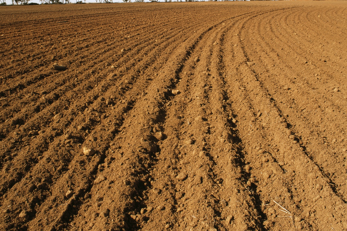 रासायनिक मलको असन्तुलित प्रयोगले घट्दै माटोको उर्वराशक्ति