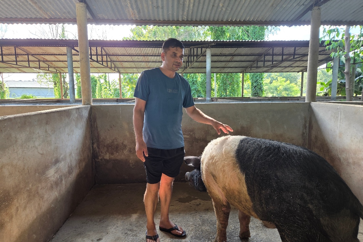 सुँगुर फार्ममा बाढी पस्दा ८० लाख रुपैयाँ बराबरको क्षति