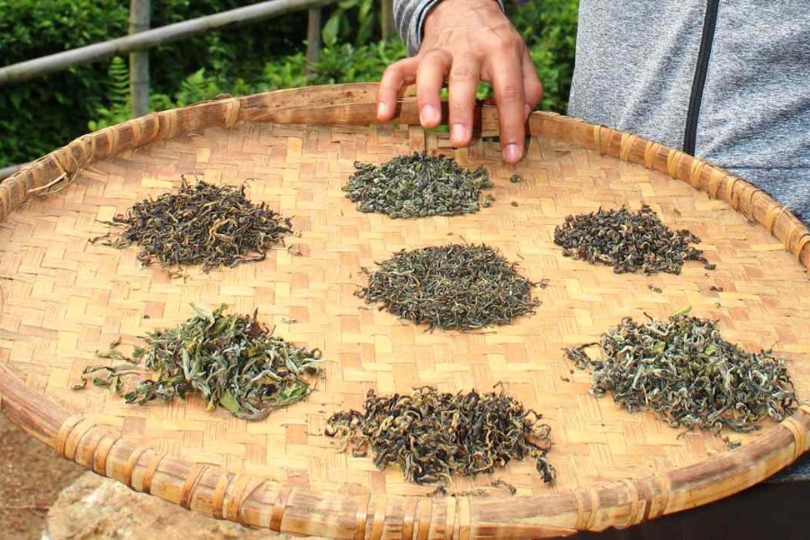 काँकडभिट्टाबाट घट्यो चिया निर्यात