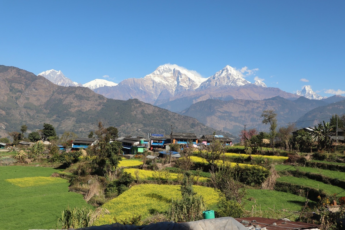 बेनीको तोरीपानीमा सयपत्री होमस्टे