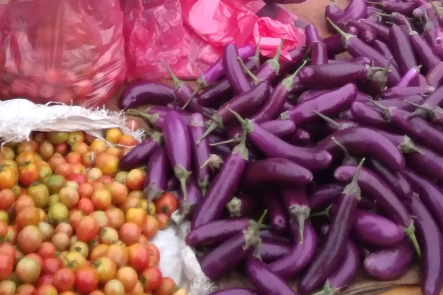 तरकारीले मूल्य पाएपछि किसान खुसी