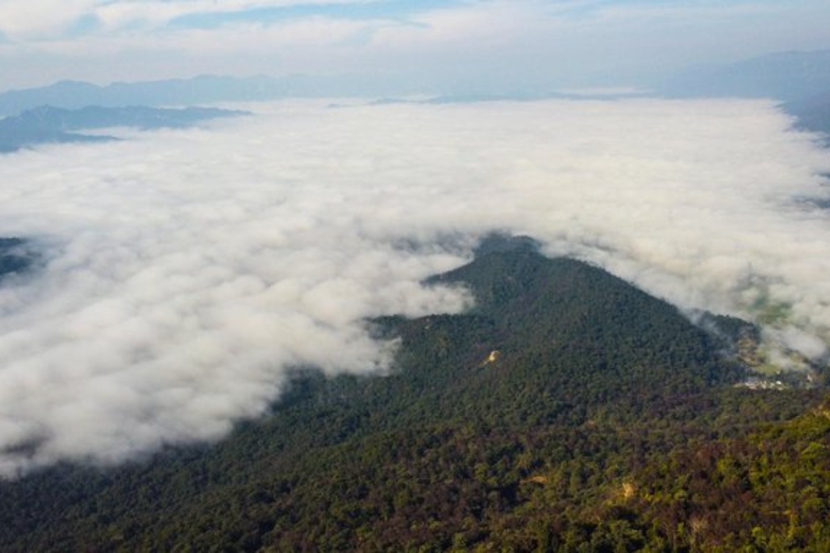 बाहिरियो यस वर्षको मनसुन